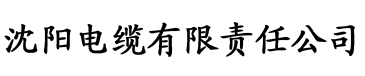 欧美一级婬片A片久久00精品电缆厂logo